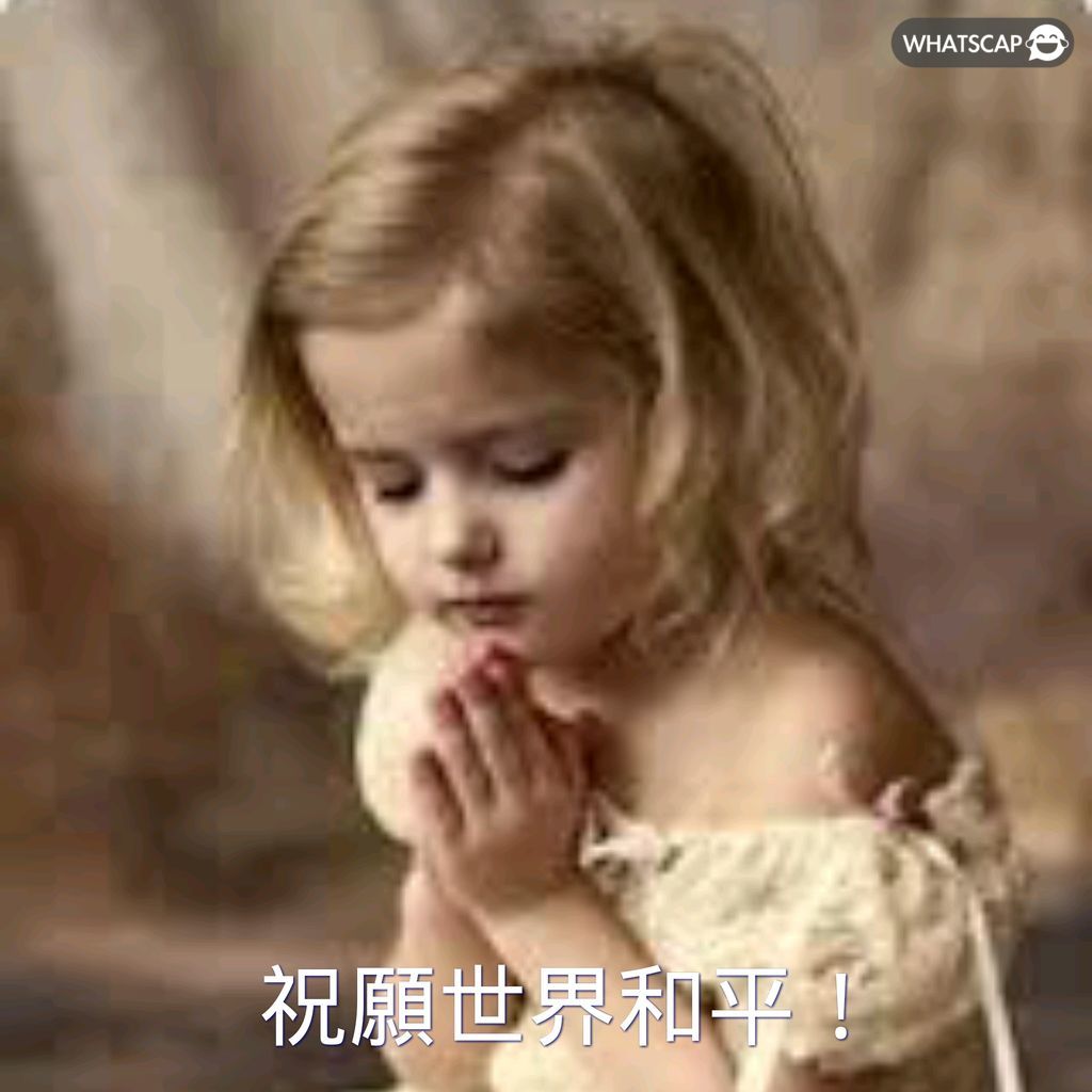 梅西赛场高,独中两元,关键传球,世界杯投注,2026世界杯,体育博彩,投注技巧,合法平台