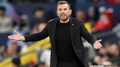 澳篮总决赛攻略：专家质合分析，前区十码推荐助信心