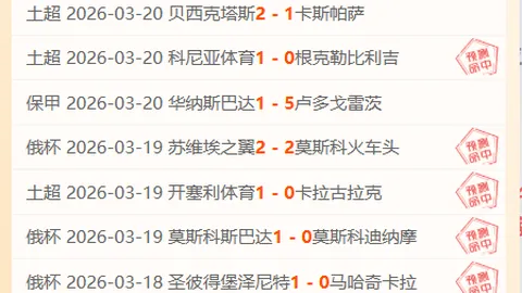 阿甲北方德比对决：期号55，专家质合分析前区十码推荐